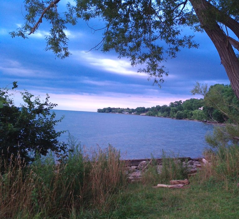 Why Rochester Became Home This Life's a Puzzle!